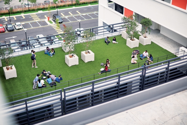 Rooftop Garden