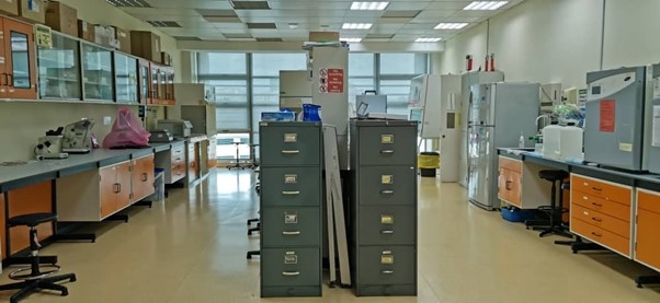 Lab