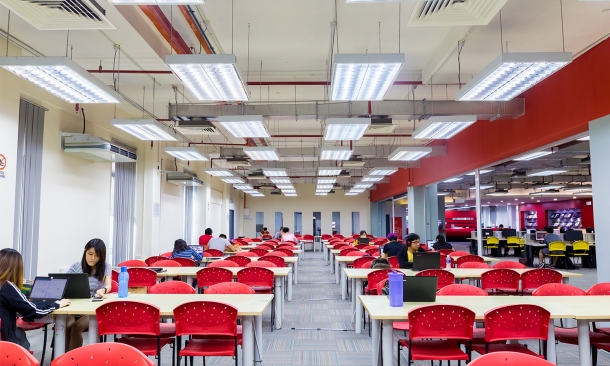 Study Area